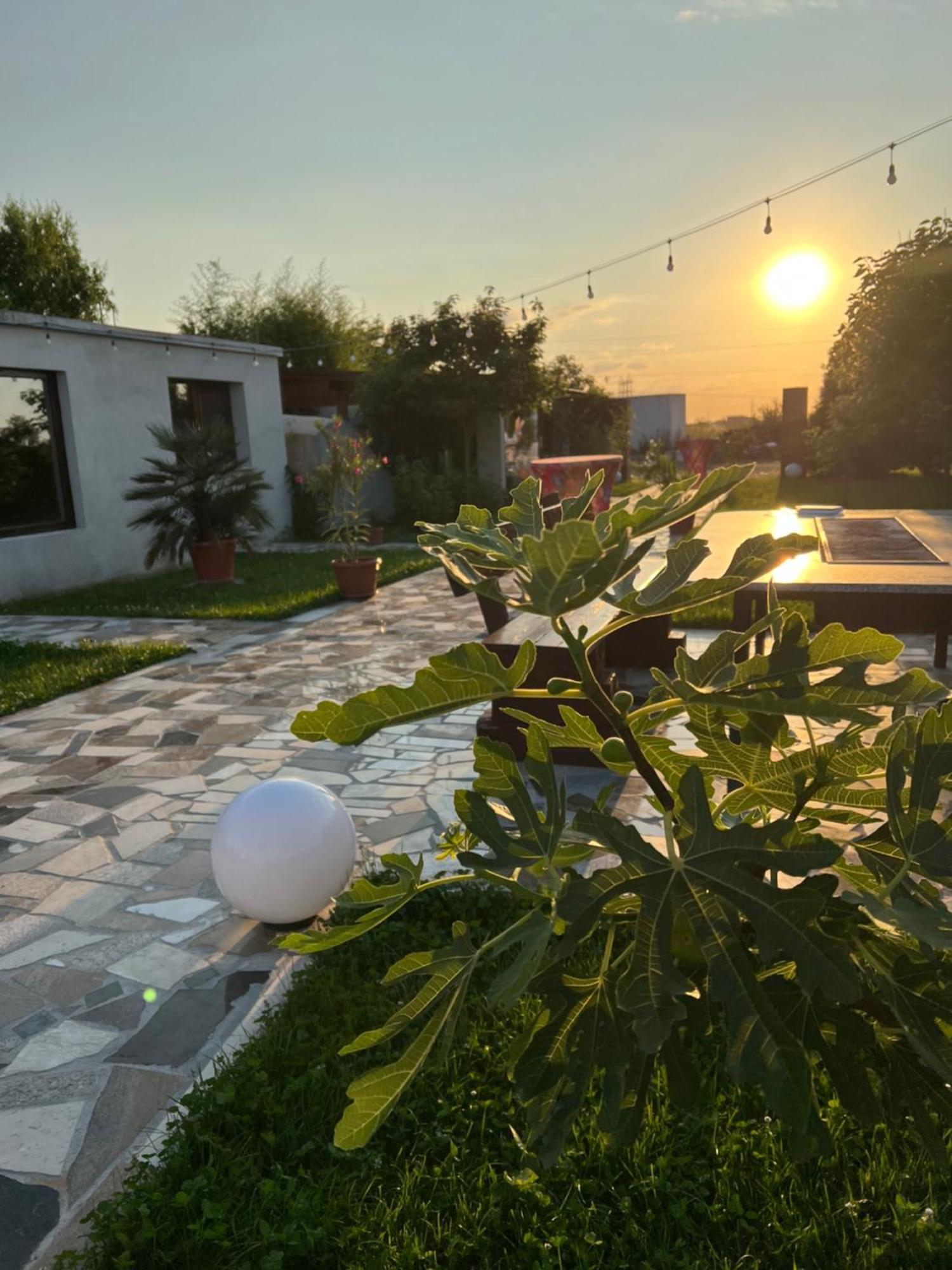 La Casa Blanca Apartman Glogovác Kültér fotó